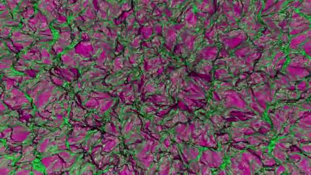 Abstrakter Fraktaler Hintergrund Violetten Und Grünen Farben — Stockvideo