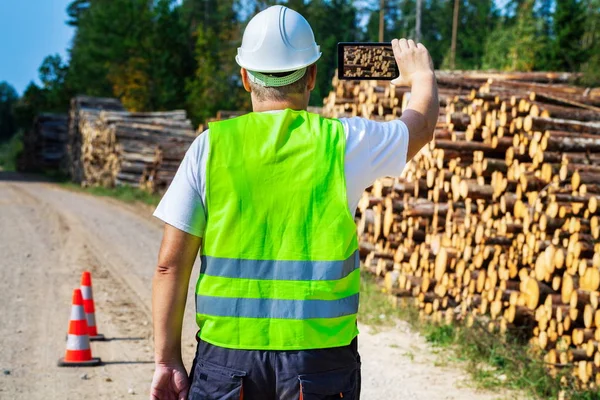 Forest worker take photos of log pile