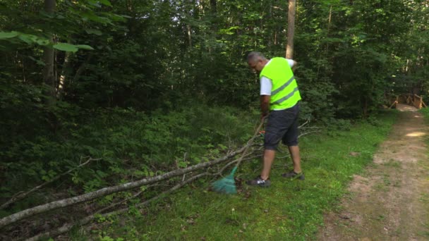 Arbetare Parken Räfsa Gräset — Stockvideo