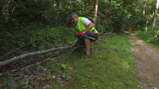 Zwei Arbeiter Einem Umgeknickten Baum — Stockvideo