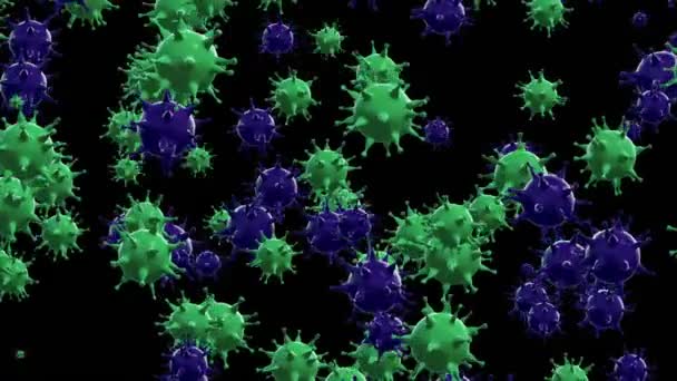 Green Purple Viruses Black — Stock Video