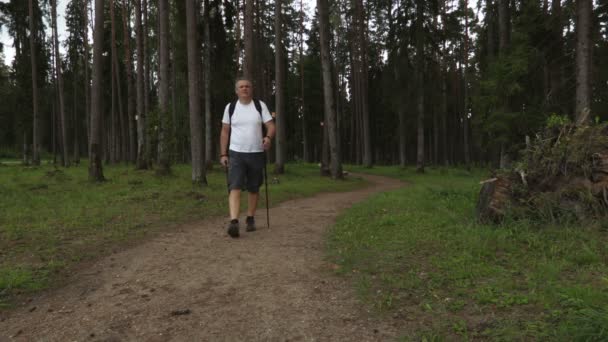 Wanderer Mit Gehstöcken Auf Pfad Park — Stockvideo