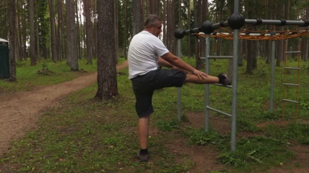 Homem Fazendo Exercícios Parque — Vídeo de Stock