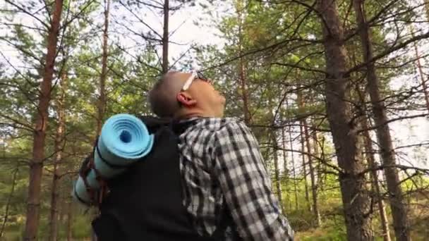 Vandrare Vilse Skogen — Stockvideo