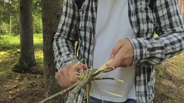 Caminante Limpia Corteza Árbol Con Cuchillo — Vídeos de Stock