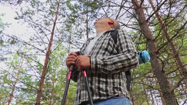 Ontbreekt Het Bos Kijkt Wandelaar Naar Hemel — Stockvideo