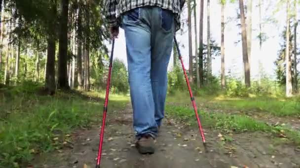 Camera Follows Hiker Woods Road — Stock Video