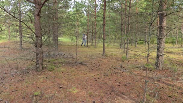 徒步旅行者穿过树林 — 图库视频影像