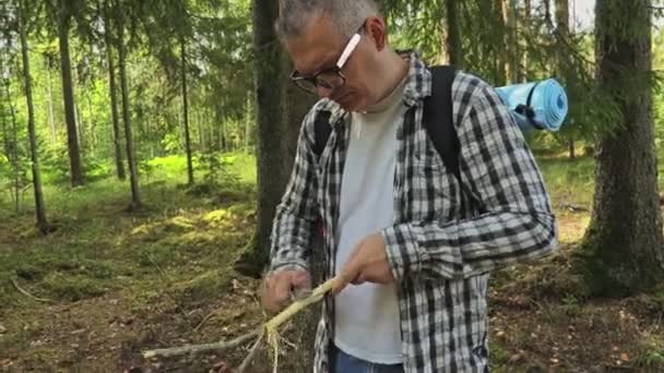 Vandrare Skogen Med Kniv Slipning Grenen — Stockvideo