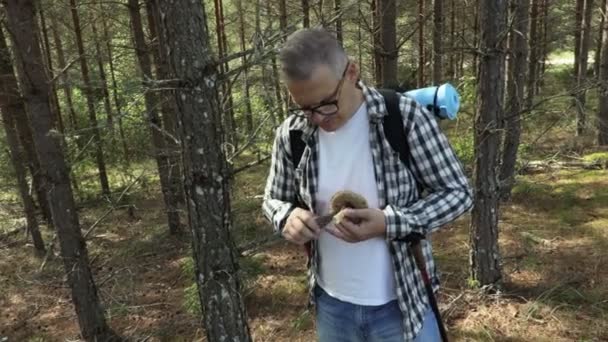 Hiker Knife Cleans Mushroom — Stock Video