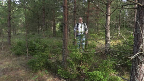 Escursionista Attraversa Foresta Ricoperta Vegetazione — Video Stock