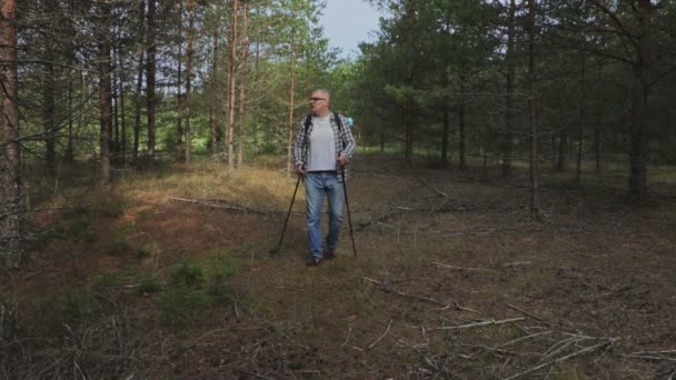 Wanderer Wald Sucht Ausweg — Stockvideo