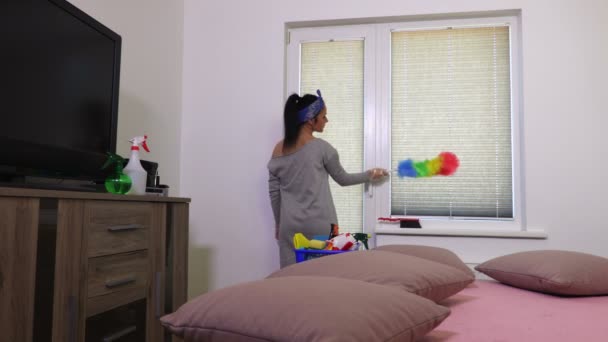 Housewife Using Dust Brush Window Blinds — Stock Video