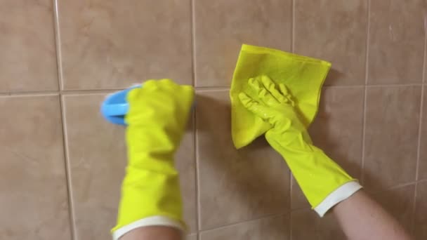 Housewife Clean Wall Tiles — Stock Video