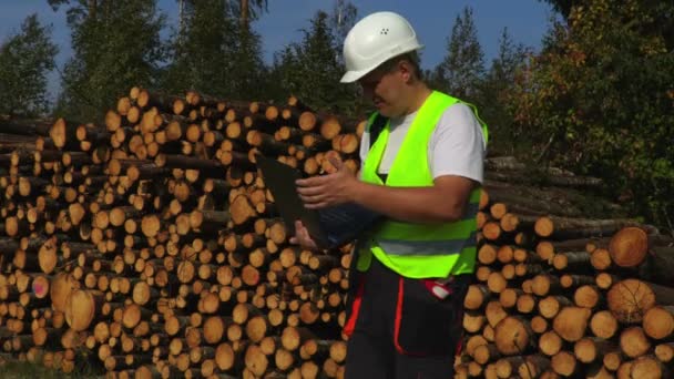 Oficial Forestal Con Portátil Cerca Pila Troncos — Vídeos de Stock