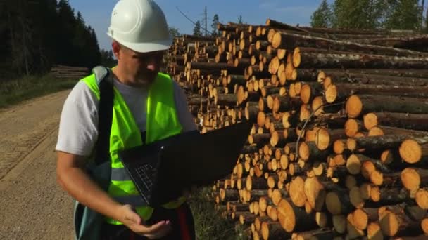 Lumberjack Kontrollera Loggen Högen — Stockvideo