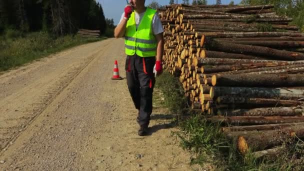 Agente Floresta Falar Sobre Walkie Talkie Perto Pilha Logs — Vídeo de Stock