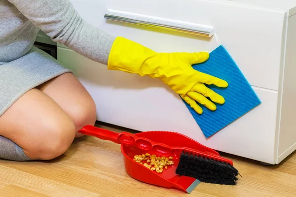Hausfrau Putzt Möbeltür — Stockfoto