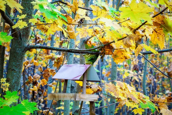 カラフルな秋の間公園で鳥の送り装置の葉します — ストック写真