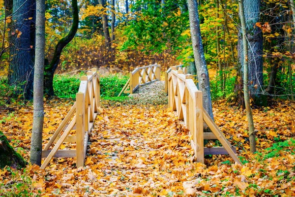 Деревянный Мост Цветными Осенними Листьями — стоковое фото