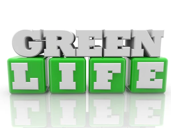 Green Life Konzept Auf Würfeln Grüner Farbe — Stockfoto