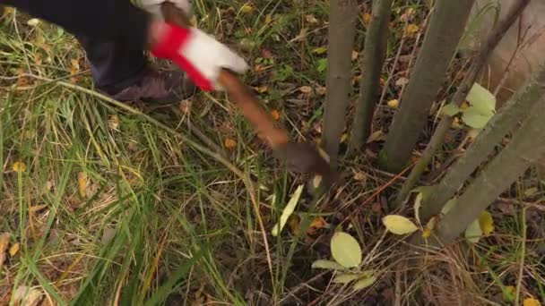 工人与斧头切碎灌木 — 图库视频影像