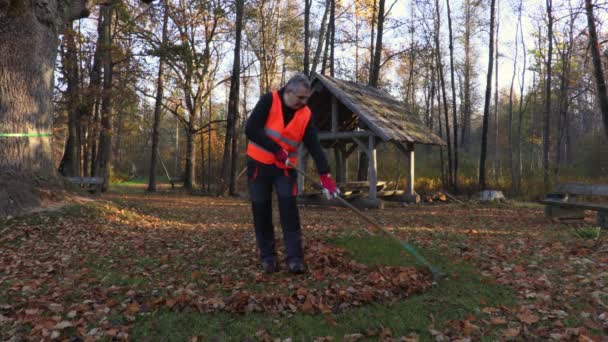 Man Verzamelen Bladeren Gras Park — Stockvideo