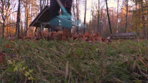 Rake Leaves Park — Stock Video