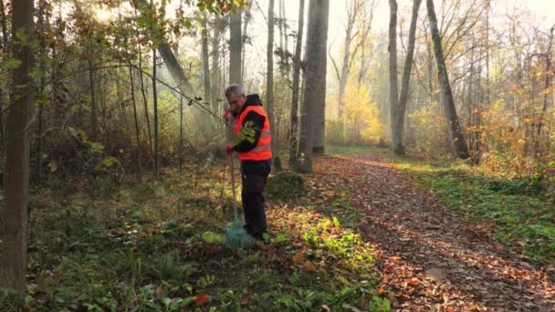Werknemer Verzamelen Bladeren Gras Park Zonnige Herfstdag — Stockvideo