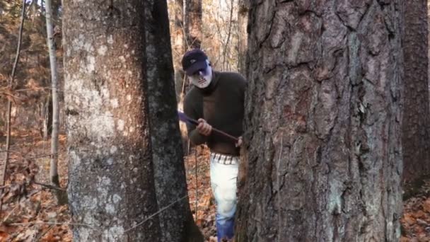 Homem Máscara Halloween Escondido Atrás Árvore — Vídeo de Stock