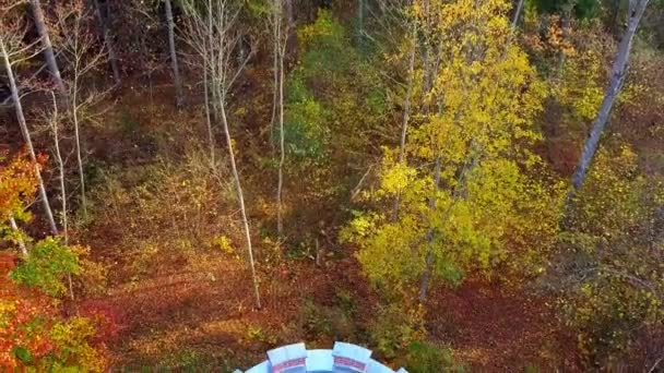 Blick Von Oben Auf Den Jagdturm Park — Stockvideo