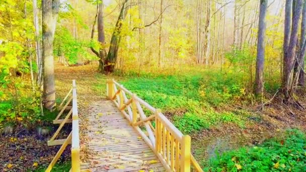 Деревянный Мост Цветными Осенними Листьями — стоковое видео
