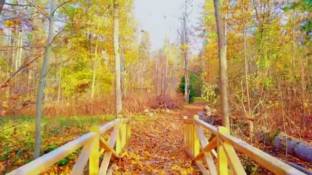 Dřevěný Most Podzimní Den — Stock video