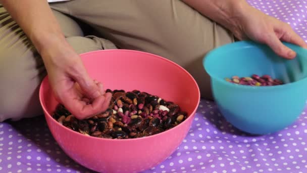 Woman Selects Beans Color — Stock Video
