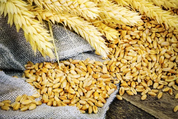 Zbóż Pobliżu Jutowej Tkaniny — Zdjęcie stockowe