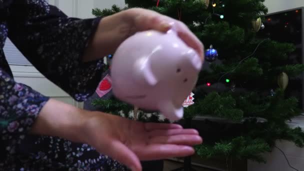 Woman Shaking Pink Piggy Bank Christmas Tree — Stock Video