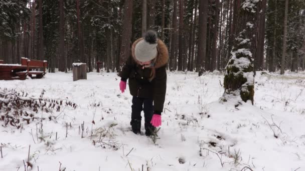 Kind Überprüft Kleine Fichte — Stockvideo