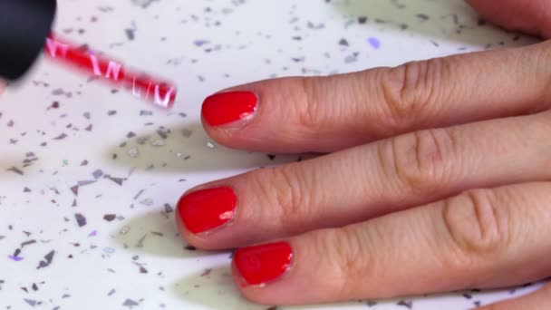 Mulher Aplicando Esmalte Unhas Perto — Vídeo de Stock