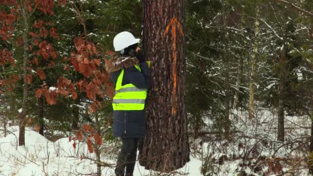 Waldarbeiterin Der Nähe Eines Markierten Baumes — Stockvideo