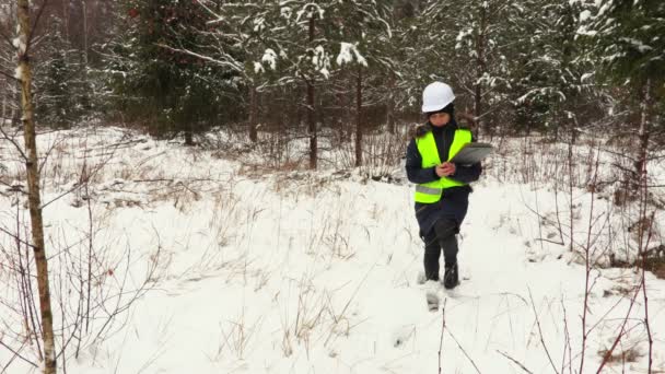 Работница Лесного Хозяйства Проверяет Елки — стоковое видео