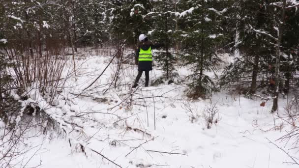 雪に覆われた森を歩く女性林業労働者 — ストック動画