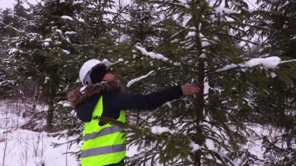 Работница Лесного Хозяйства Проверяет Заснеженные Ели — стоковое видео