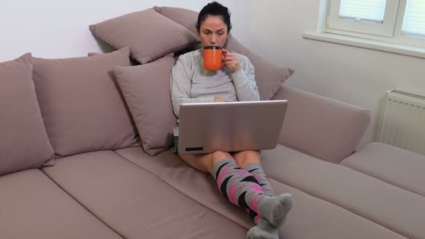 在沙发上喝咖啡和使用笔记本电脑的妇女 — 图库视频影像