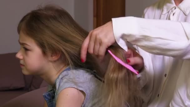 Μητέρα Χτενίζει Μαλλιά Της Κόρης Της — Αρχείο Βίντεο