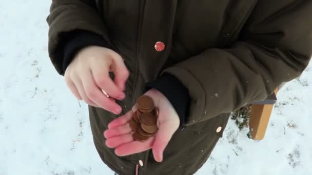 Petite Fille Comptant Les Pièces Extérieur Hiver — Video