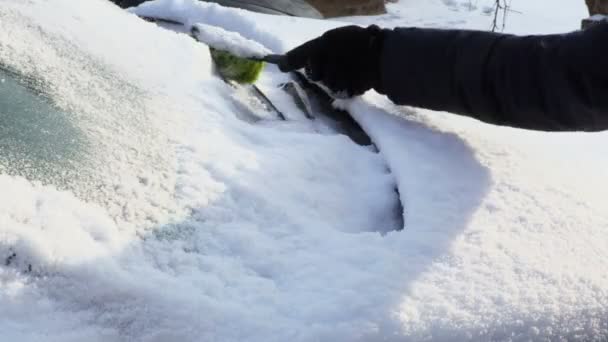 Γυναίκα Καθαρίζοντας Χιόνι Καλυμμένο Αυτοκίνητο Πριν Από Την Οδήγηση Κρύο — Αρχείο Βίντεο