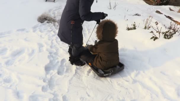 Kış Aylarında Tepe Aşağı Kızak Üzerinde Sürgülü Mutlu Çocuk — Stok video