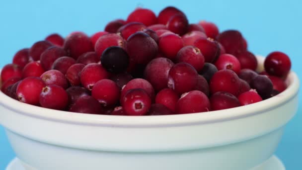 Frozen Cranberries Bowl Time Lapse — Stock Video