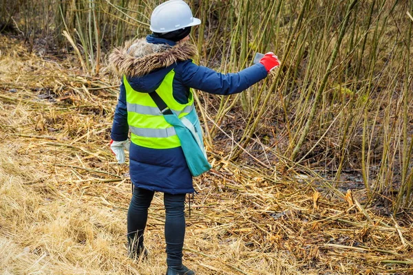 Female Forestry Inspector Take Pictures Smart Phone Felling Bushes — Stock Photo, Image