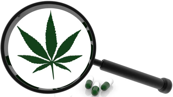 Concetto Lente Ingrandimento Foglia Cannabis — Foto Stock